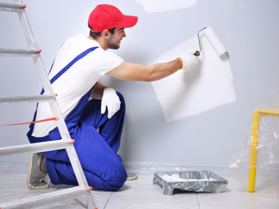 Professional Painting Solutions